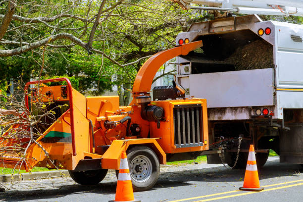 Best Tree and Shrub Care  in Inverness Highlands North, FL